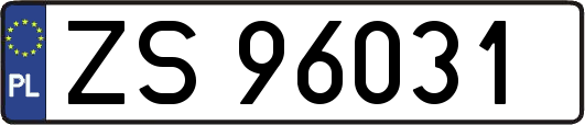 ZS96031