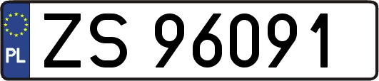 ZS96091