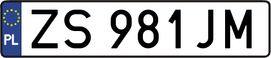 ZS981JM