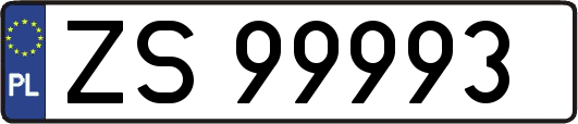 ZS99993