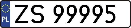 ZS99995