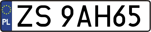 ZS9AH65