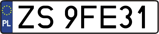 ZS9FE31