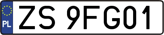 ZS9FG01