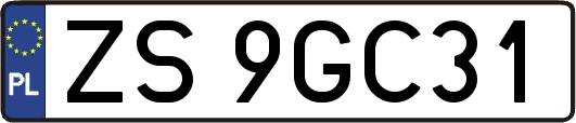 ZS9GC31