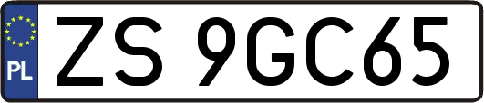 ZS9GC65