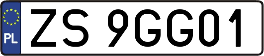 ZS9GG01