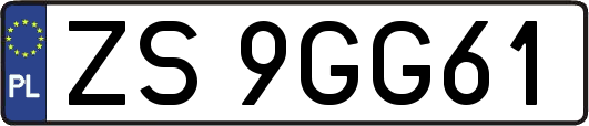 ZS9GG61