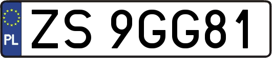 ZS9GG81