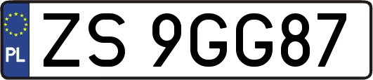 ZS9GG87