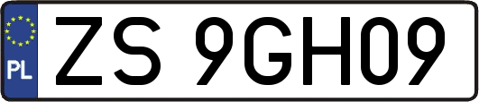 ZS9GH09