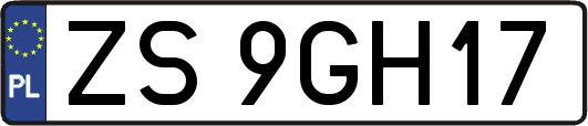 ZS9GH17