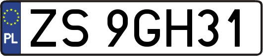 ZS9GH31