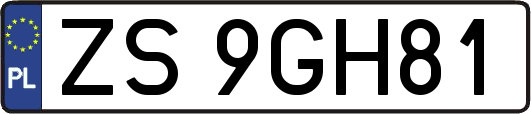 ZS9GH81