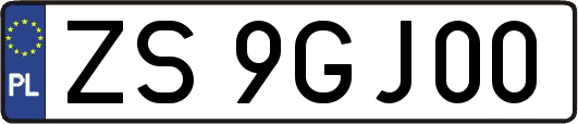 ZS9GJ00