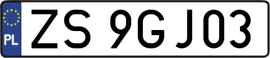 ZS9GJ03