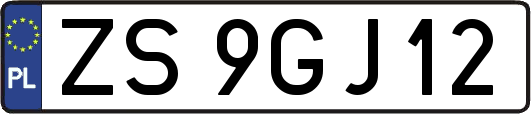 ZS9GJ12