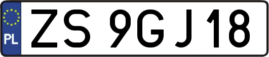 ZS9GJ18