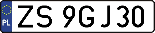 ZS9GJ30