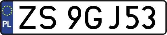 ZS9GJ53