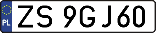 ZS9GJ60