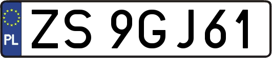 ZS9GJ61