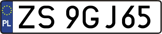ZS9GJ65