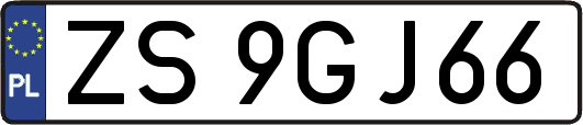 ZS9GJ66