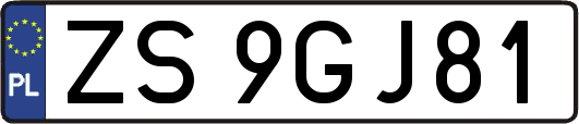ZS9GJ81