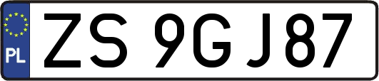 ZS9GJ87