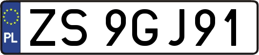 ZS9GJ91