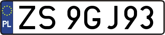 ZS9GJ93