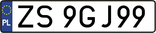 ZS9GJ99