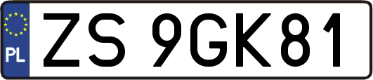 ZS9GK81