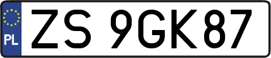 ZS9GK87
