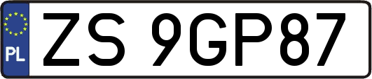 ZS9GP87