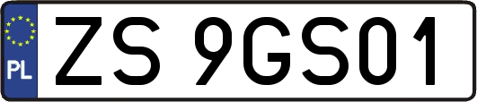 ZS9GS01
