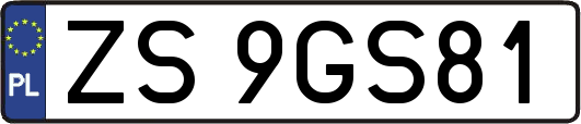 ZS9GS81