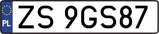 ZS9GS87