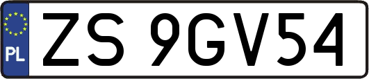 ZS9GV54
