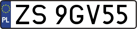 ZS9GV55