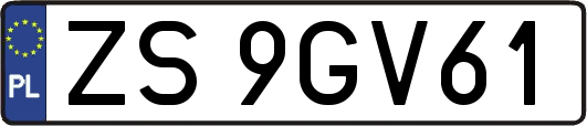 ZS9GV61