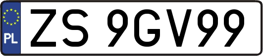 ZS9GV99