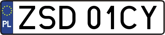 ZSD01CY