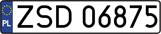 ZSD06875