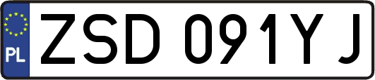ZSD091YJ