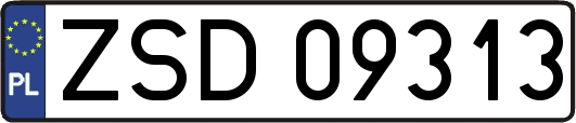 ZSD09313