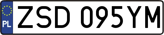 ZSD095YM