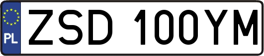 ZSD100YM