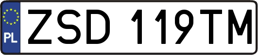 ZSD119TM